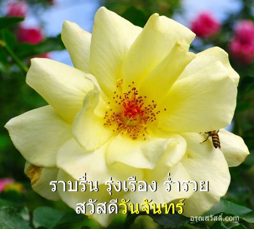สวัสดีวันจันทร์