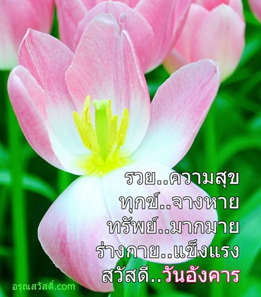 สวัสดีวันอังคาร