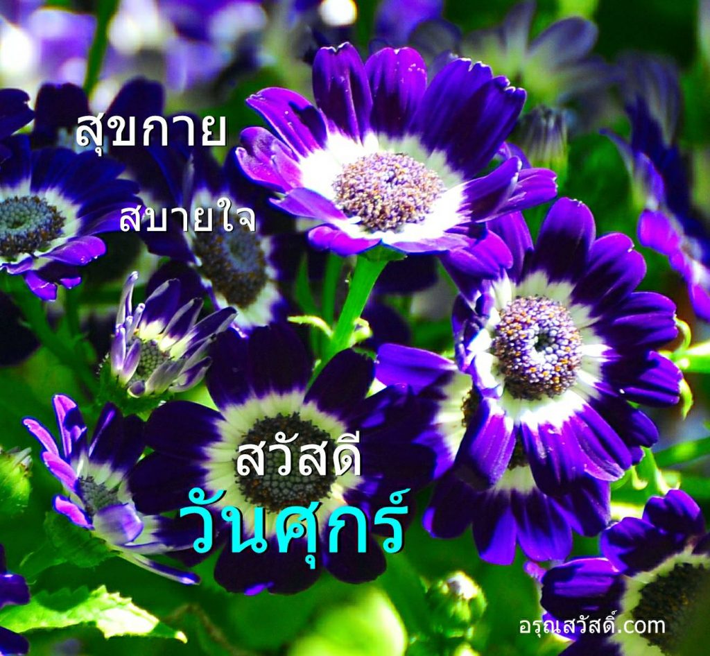 สวัสดีวันศุกร์