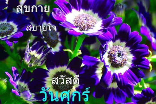 สวัสดีวันศุกร์