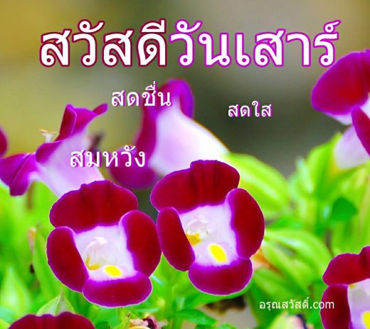 สวัสดีวันเสาร์