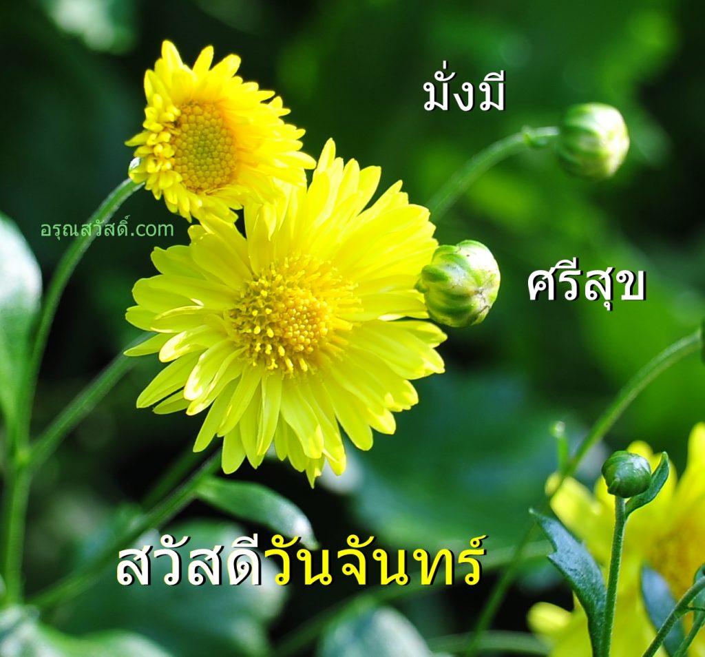 สวัสดีวันจันทร์