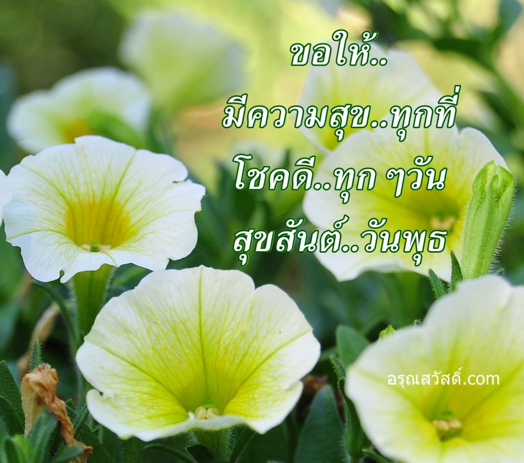 สวัสดีวันพุธ
