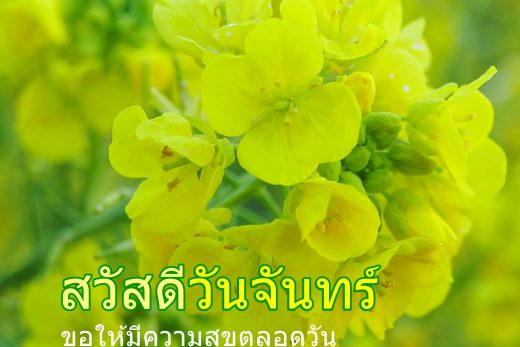 สวัสดีวันจันทร์
