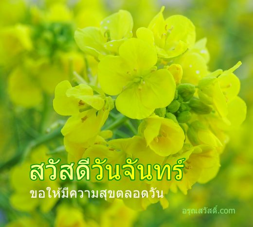 สวัสดีวันจันทร์