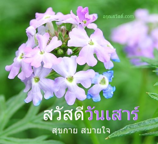 สวัสดีวันเสาร์