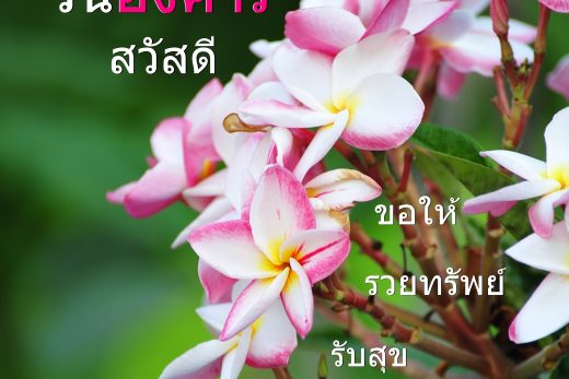 สวัสดีวันอังคาร