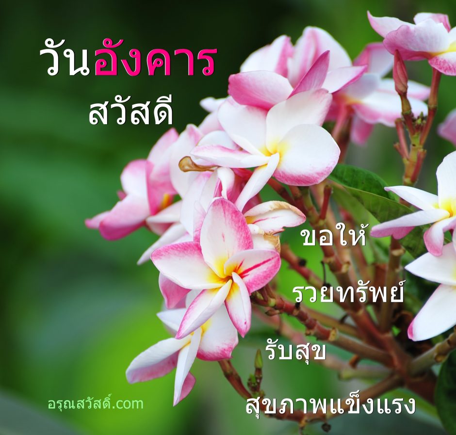 สวัสดีวันอังคาร