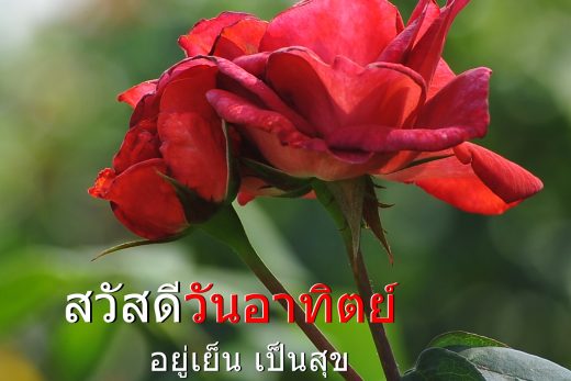 สวัสดีวันอาทิตย์