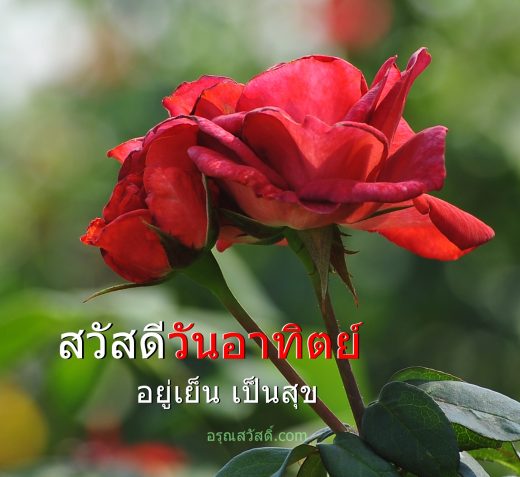 สวัสดีวันอาทิตย์