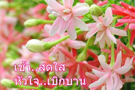 สวัสดีวันอังคาร