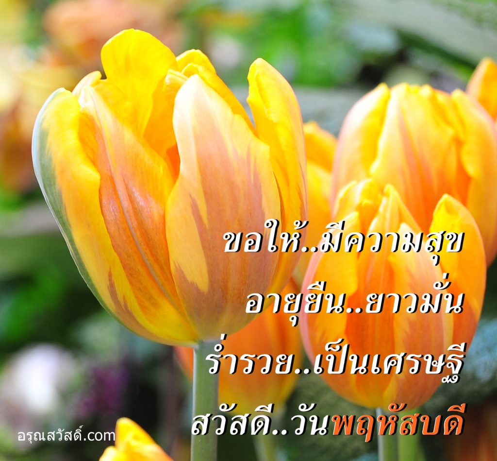 สวัสดีวันพฤหัสบดี