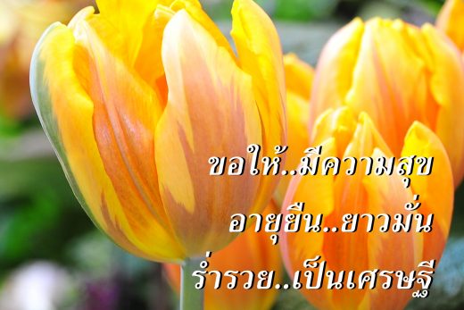 สวัสดีวันพฤหัสบดี