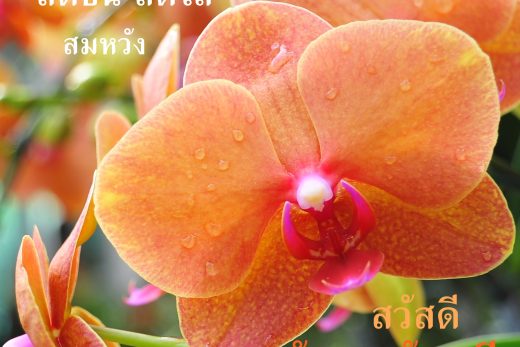 สวัสดีวันพฤหัสบดี
