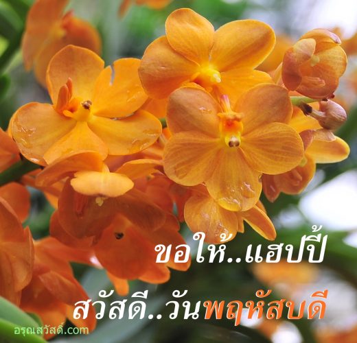 สวัสดีวันพฤหัสบดี