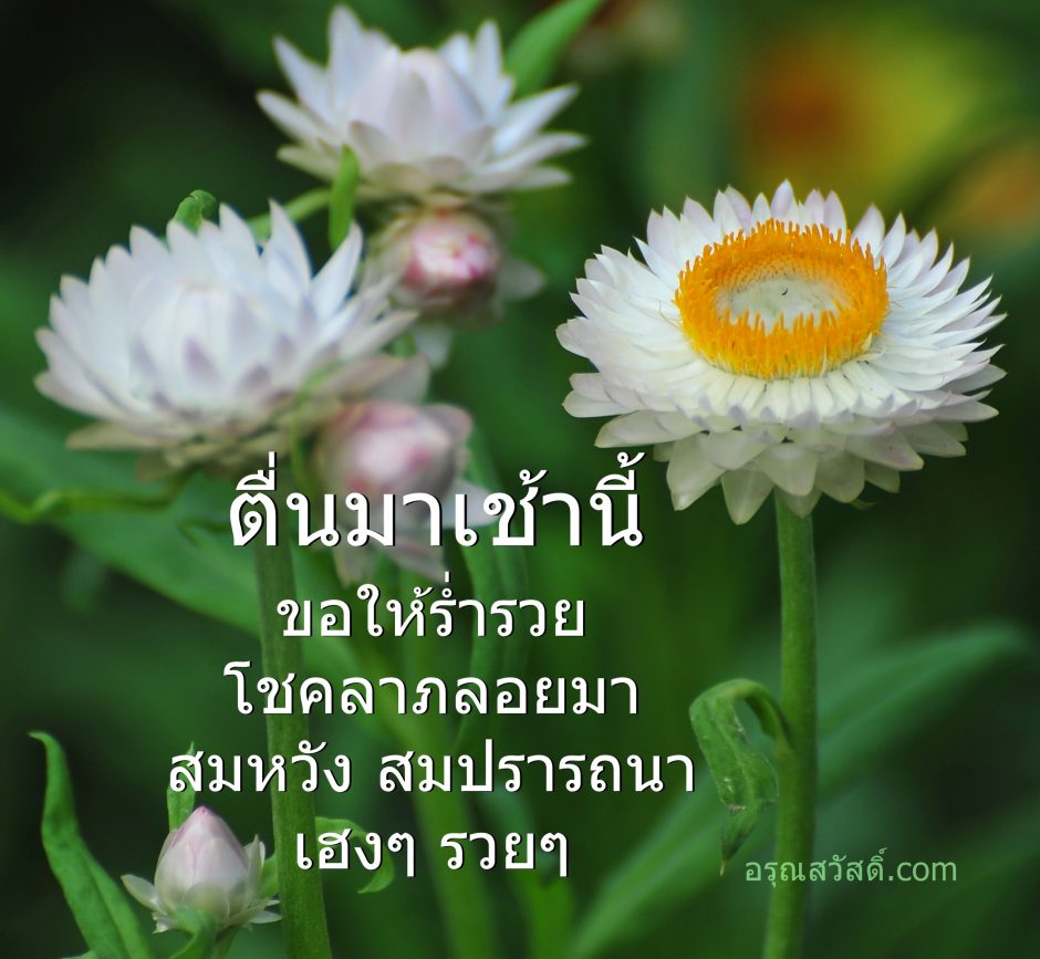 อรุณสวัสดิ์