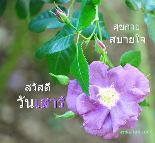 สวัสดีวันเสาร์