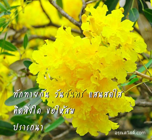 สวัสดีวันจันทร์