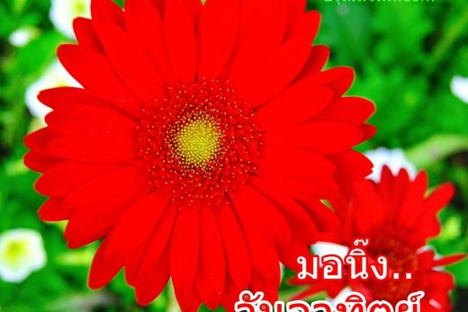 สวัสดีวันอาทิตย์