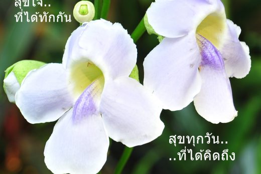 สวัสดีวันศุกร์