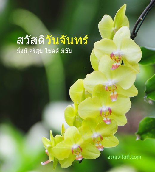 สวัสดีวันจันทร์