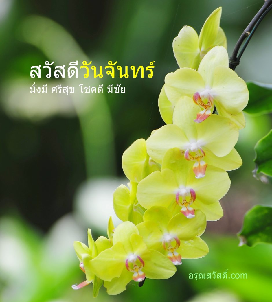 สวัสดีวันจันทร์