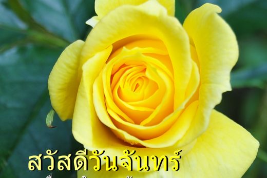 สวัสดีวันจันทร์