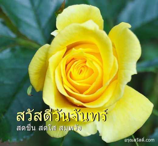 สวัสดีวันจันทร์