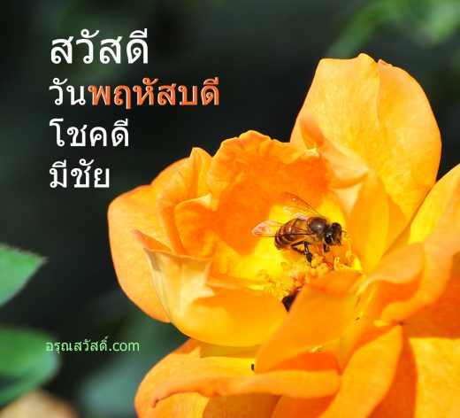สวัสดีวันพฤหัสบดี