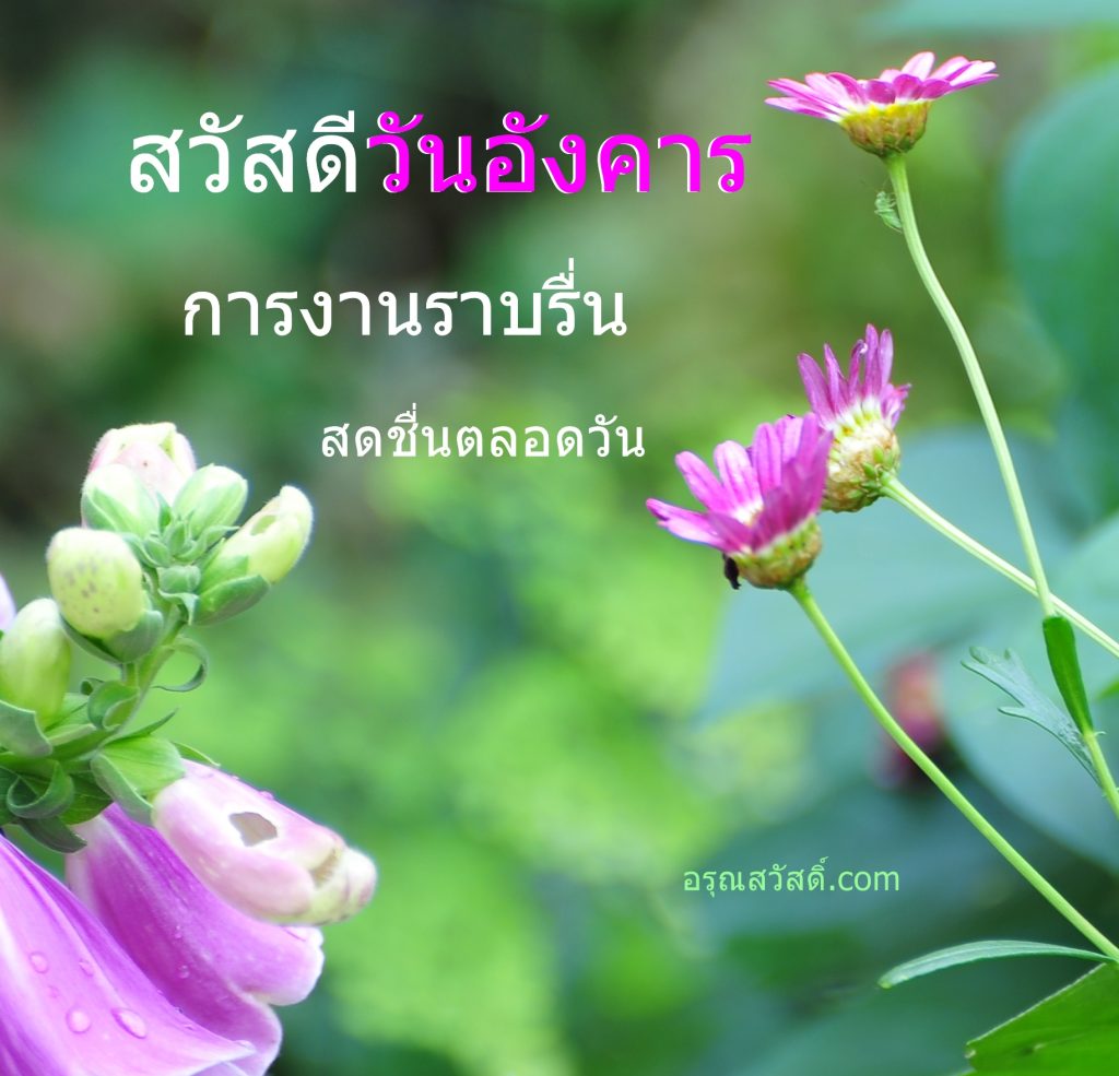 สวัสดีวันอังคาร