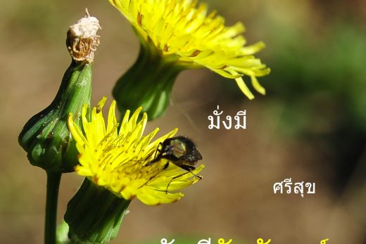 สวัสดีวันจันทร์