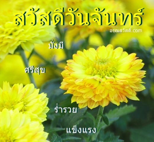 สวัสดีวันจันทร์