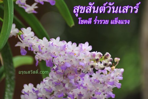สวัสดีวันเสาร์