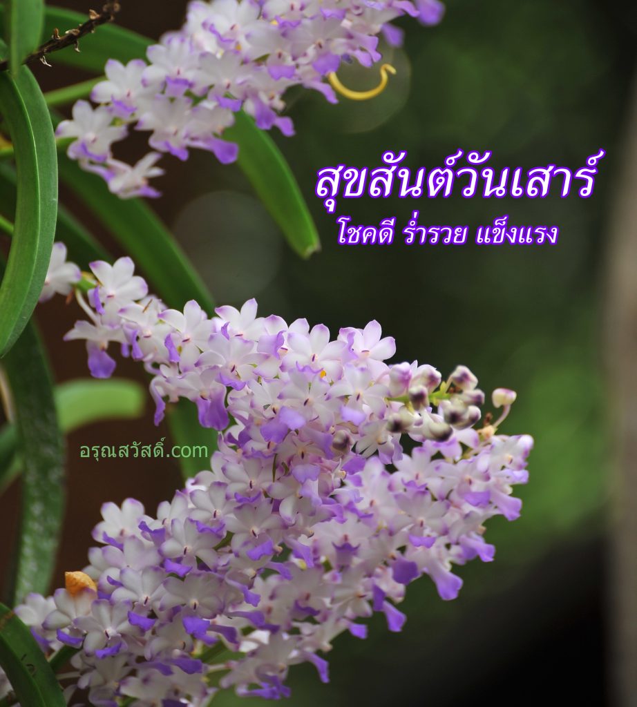 สวัสดีวันเสาร์