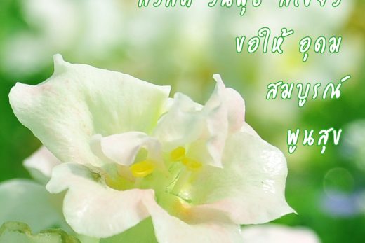 สวัสดีวันพุธ
