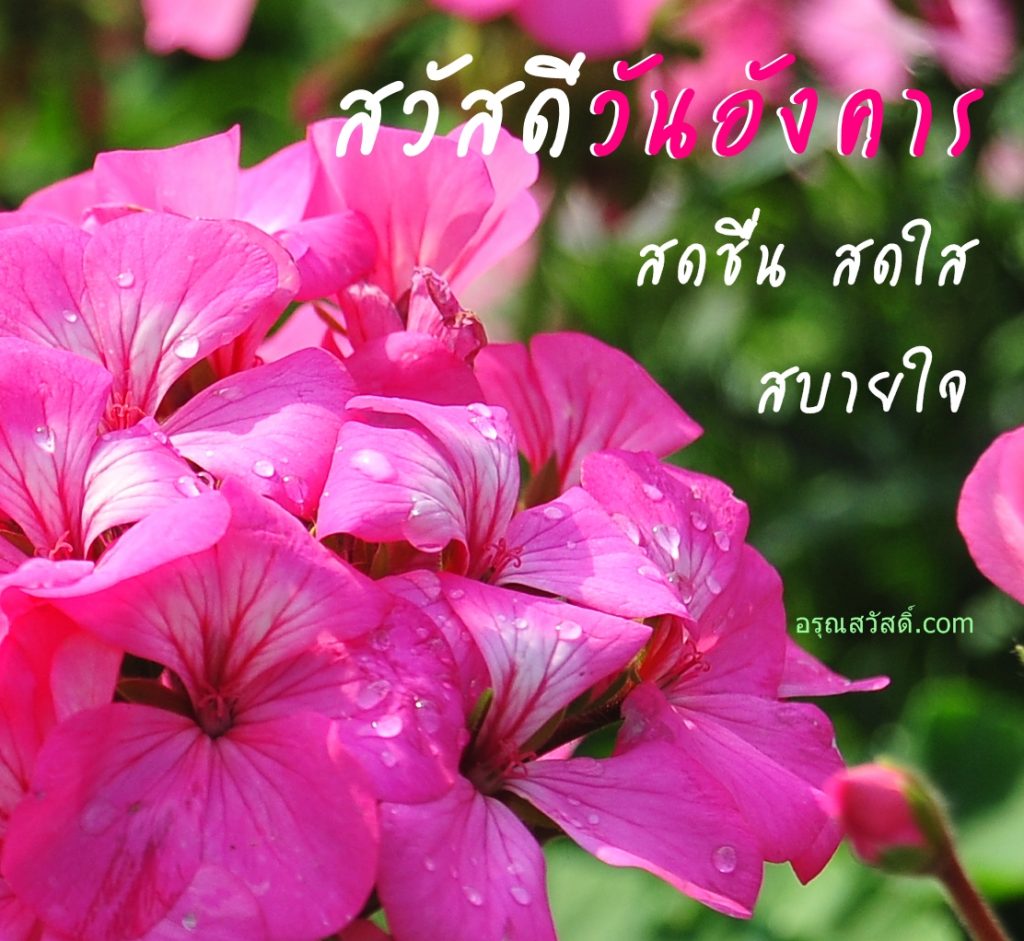 สวัสดีวันอังคาร