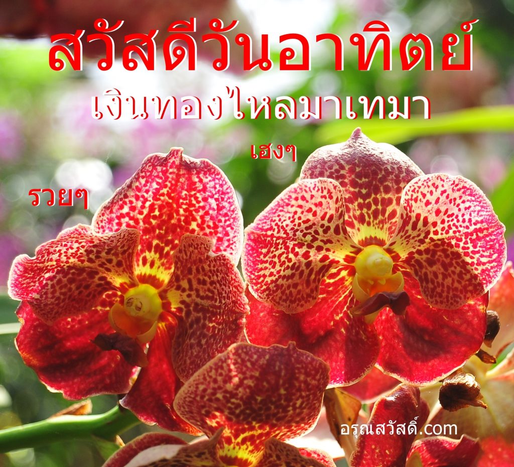 สวัสดีวันอาทิตย์