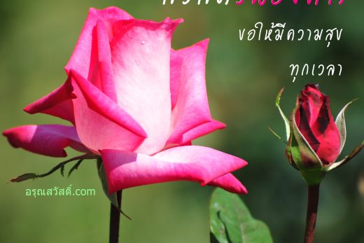 สวัสดีวันอังคาร