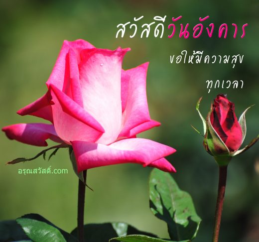 สวัสดีวันอังคาร