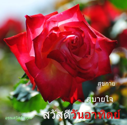 สวัสดีวันอาทิตย์