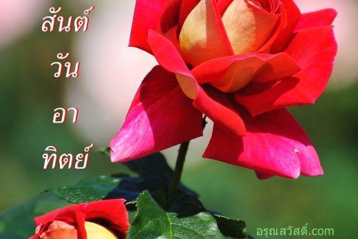 สวัสดีวันอาทิตย์