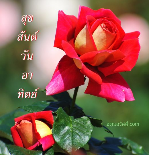 สวัสดีวันอาทิตย์