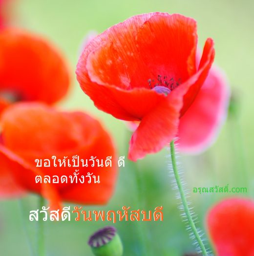 สวัสดีวันพฤหัสบดี