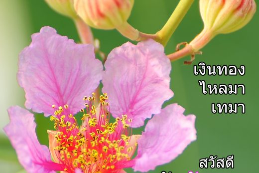 สวัสดีวันอังคาร