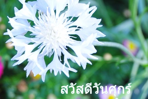 สวัสดีวันศุกร์