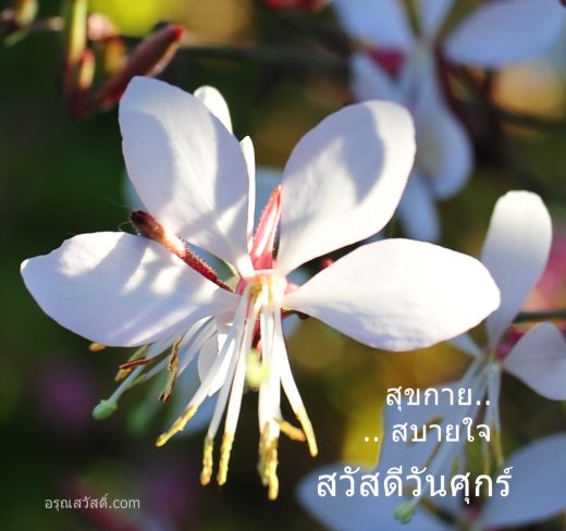 สวัสดีวันศุกร์