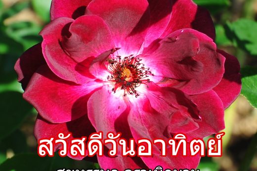 สวัสดีวันอาทิตย์