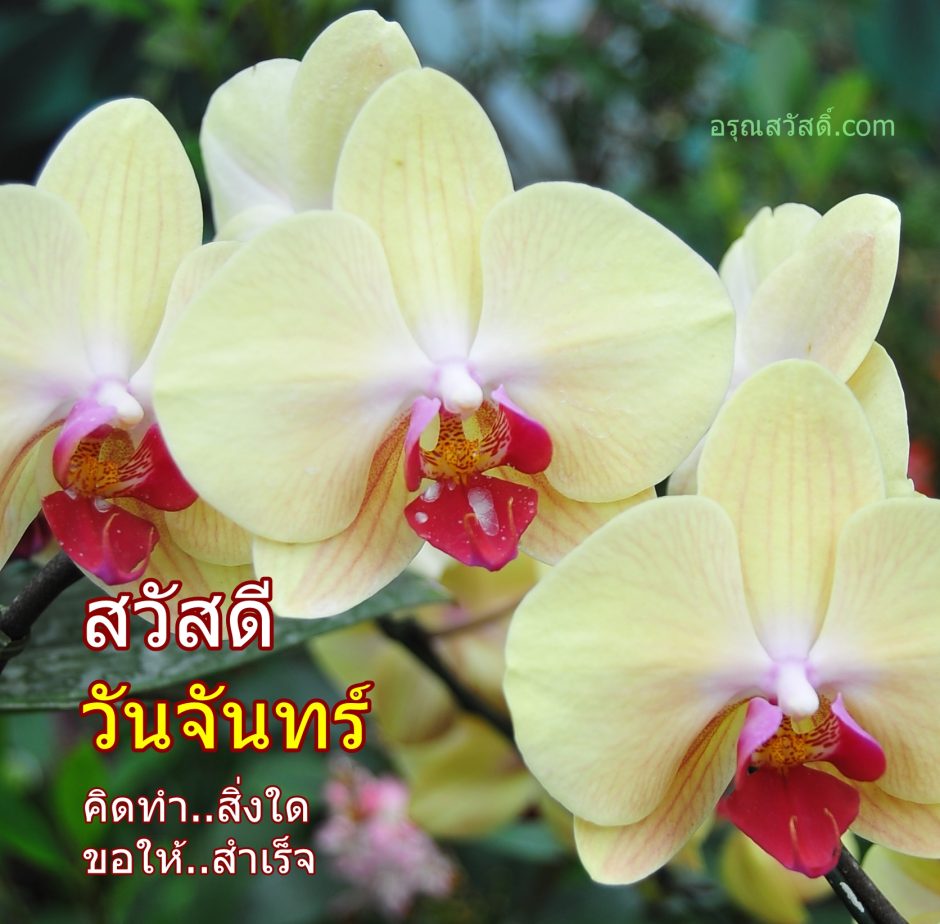 สวัสดีวันจันทร์