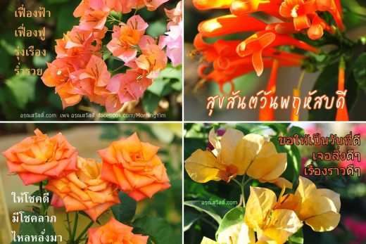 สวัสดีวันพฤหัสบดี