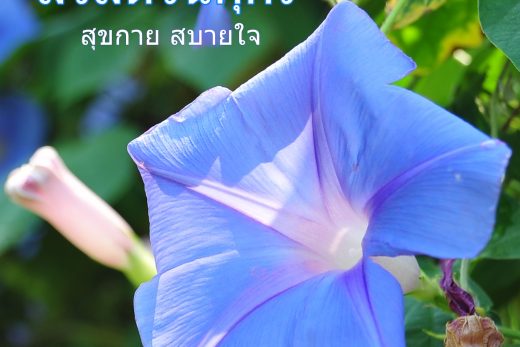 สวัสดีวันศุกร์